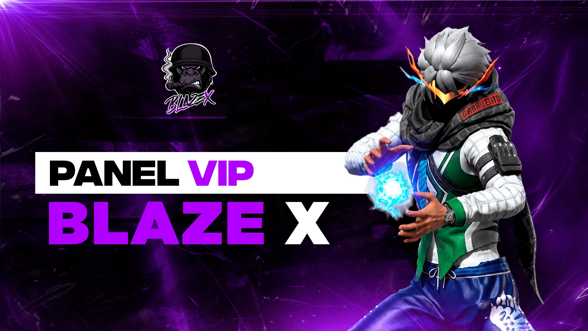 PANEL VIP